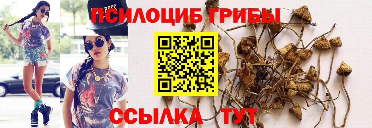 Галлюциногенные грибы ЛСД Калуга